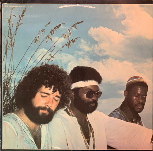Sea Level – Sea Level LP vinyl record, image 2 of 6