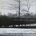 Steely Dan – Pretzel Logic LP vinyl record, image 2 of 5