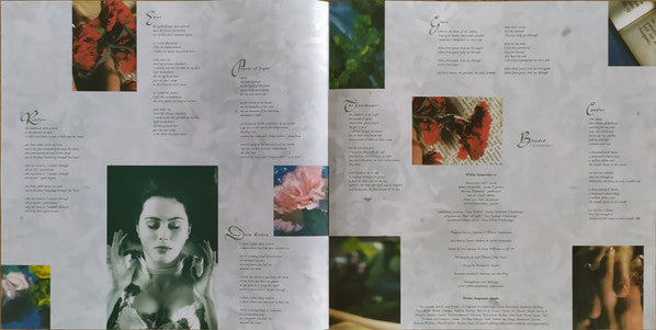 Within Temptation – Enter LP vinyl record, image 7 of 10