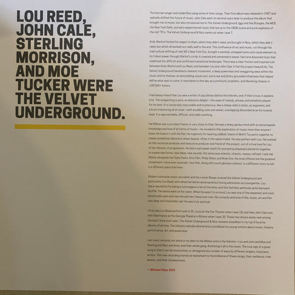 Various – I'll Be Your Mirror - A Tribute To The Velvet Underground & Nico (2xLP) LP vinyl record, image 9 of 10