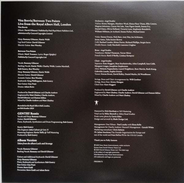 David Gilmour, Romany Gilmour – Between Two Points 12" vinyl record, image 4 of 9