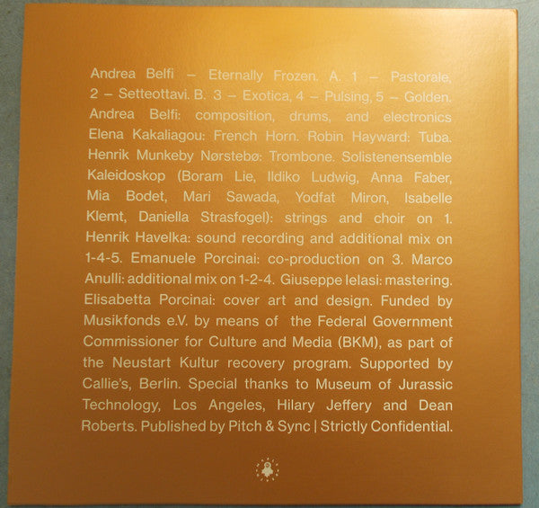 Andrea Belfi – Eternally Frozen LP vinyl record, image 3 of 8