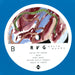 RVG – Brain Worms LP vinyl record, image 4 of 5