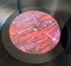 Clowns – Lucid Again LP vinyl record, image 10 of 10