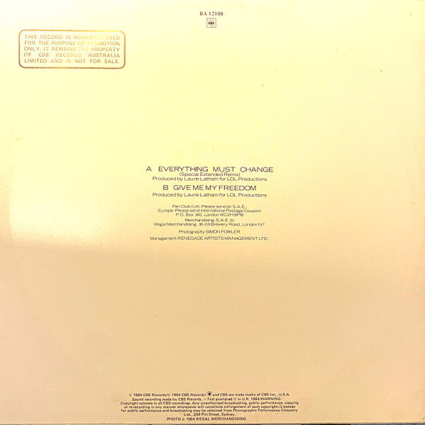 Paul Young – Everything Must Change 12" vinyl record, image 2 of 4