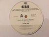 Adam Ant – Vive Le Rock 12" vinyl record, image 5 of 6