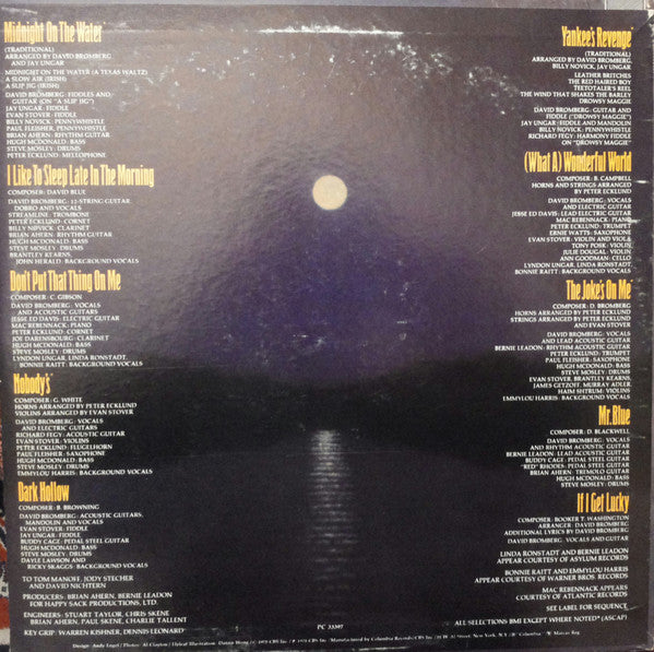 David Bromberg Band – Midnight On The Water LP vinyl record, image 2 of 5