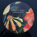 Adrianne Lenker – Songs And Instrumentals (2xLP) LP vinyl record, image 8 of 10