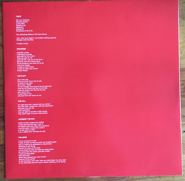 Ty Segall – First Taste LP vinyl record, image 4 of 8