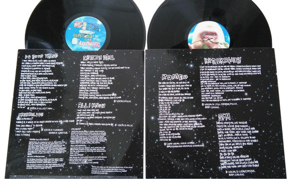 Basement Jaxx – Rooty (2xLP) LP vinyl record, image 10 of 10