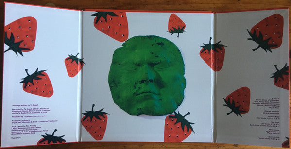 Ty Segall – First Taste LP vinyl record, image 3 of 8
