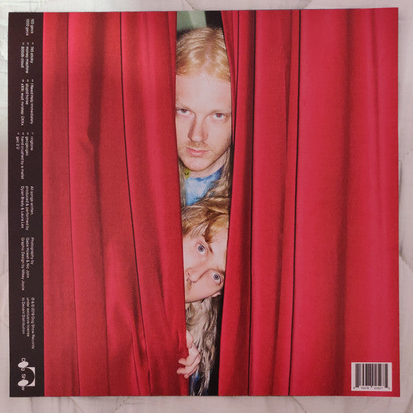 100 Gecs – 1000 Gecs LP vinyl record, image 2 of 10