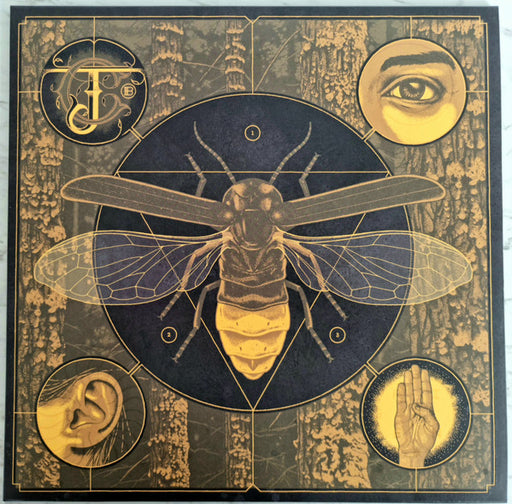 Jerry Cantrell – Brighten