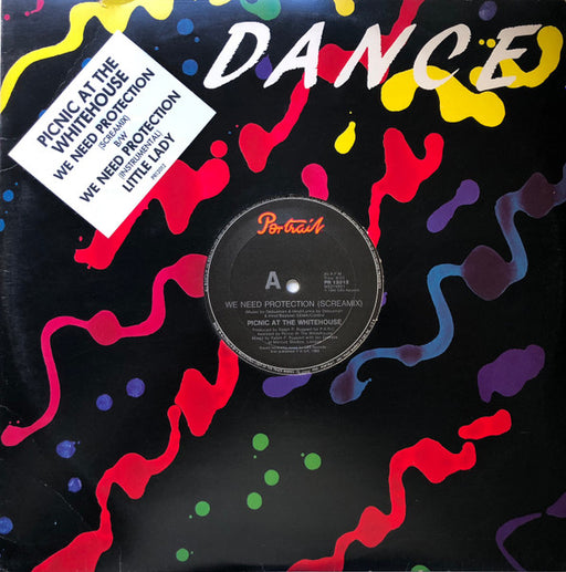 Picnic At The Whitehouse – We Need Protection (Screamix) 12" vinyl record, image 1 of 3