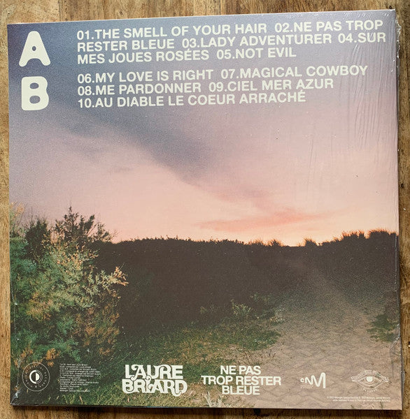 Laure Briard – Ne Pas Trop Rester Bleue LP vinyl record, image 2 of 5