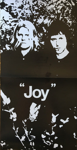 Ty Segall, White Fence – "Joy" LP vinyl record, image 5 of 6
