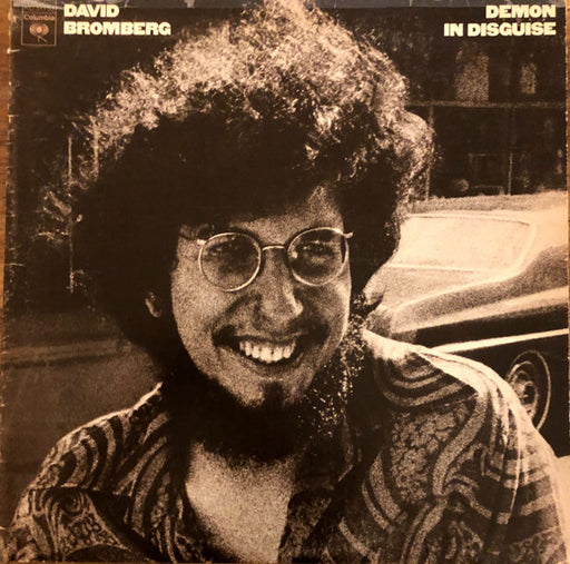 David Bromberg – Demon In Disguise LP vinyl record, image 1 of 4