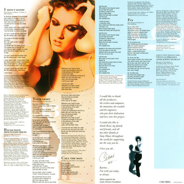 Céline Dion – Falling Into You (2xLP) LP vinyl record, image 8 of 10