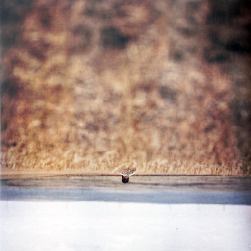 Jim O'Rourke – Hands That Bind (Original Motion Picture Soundtrack) LP vinyl record, image 1 of 3
