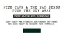Nick Cave & The Bad Seeds – Push The Sky Away LP vinyl record, image 7 of 8