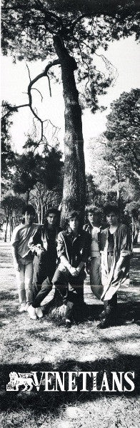 The Venetians – Calling In The Lions LP vinyl record, image 7 of 7