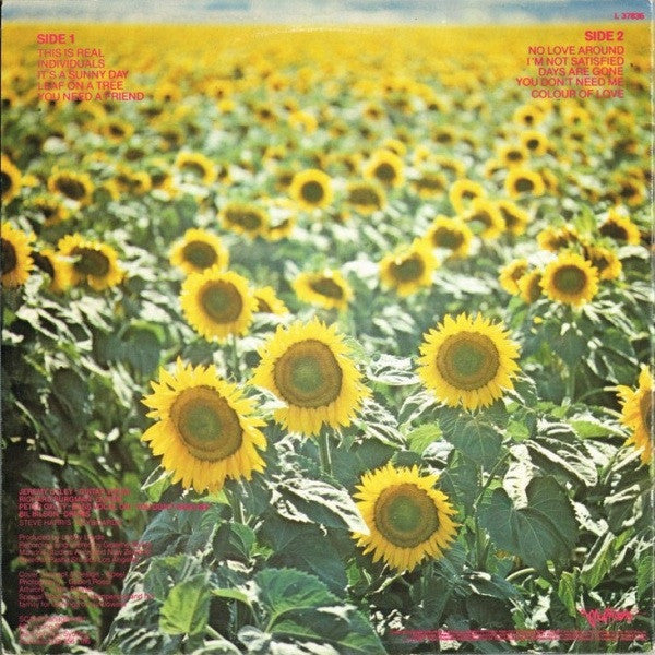 Sunnyboys – Individuals LP vinyl record, image 3 of 8