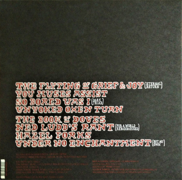 Alasdair Roberts – Spoils LP vinyl record, image 2 of 4