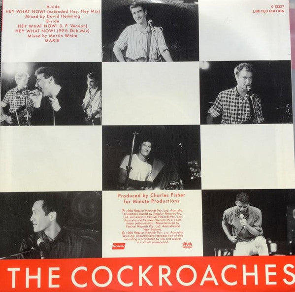 The Cockroaches – Hey What Now! 12" vinyl record, image 2 of 4