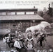 The Decemberists – The King Is Dead LP vinyl record, image 3 of 7