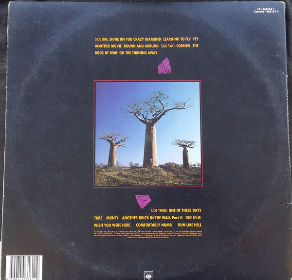 Pink Floyd – Delicate Sound Of Thunder (2xLP) LP vinyl record, image 4 of 10