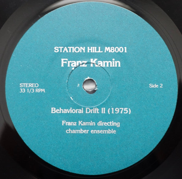 Franz Kamin – Behavioral Drift II / Rugugmool LP vinyl record, image 7 of 7