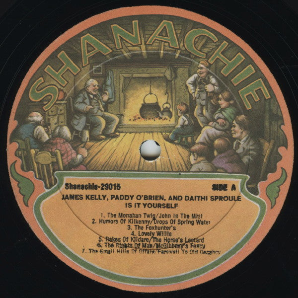 James Kelly, Paddy O'Brien, Dáithí Sproule – Is It Yourself LP vinyl record, image 3 of 8