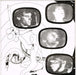 The Aliens – Translator LP vinyl record, image 5 of 6