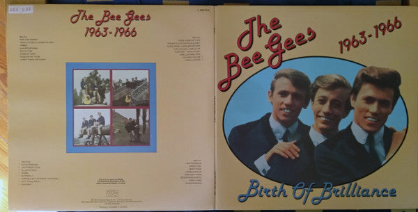 Bee Gees – Birth Of Brilliance (2xLP) LP vinyl record, image 3 of 10