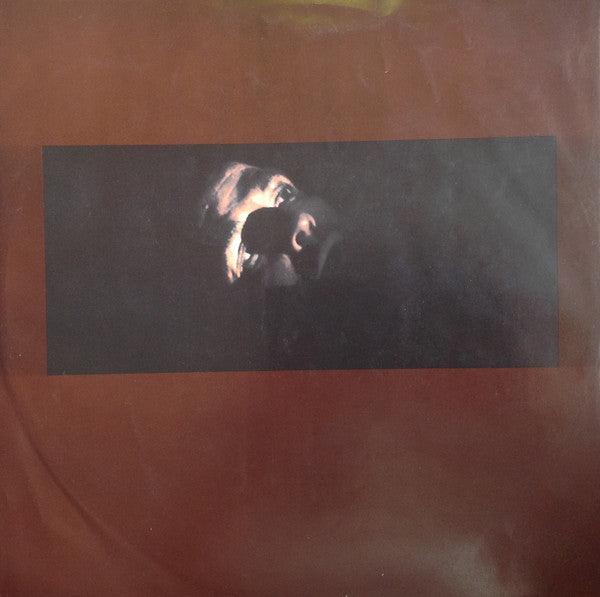 Carmine Coppola, Francis Ford Coppola – Apocalypse Now = 地獄の黙示録 (2xLP) LP vinyl record, image 6 of 10