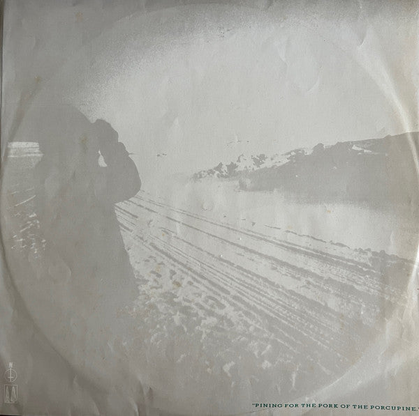 Echo & The Bunnymen – Porcupine LP vinyl record, image 5 of 6
