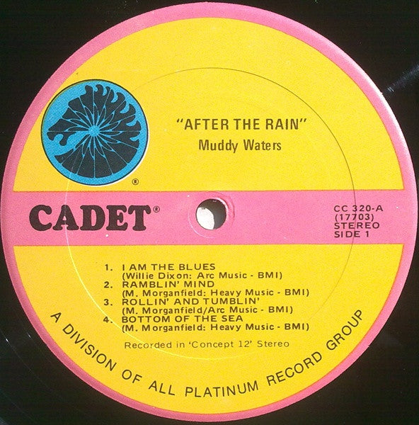 Muddy Waters – After The Rain LP vinyl record, image 3 of 4
