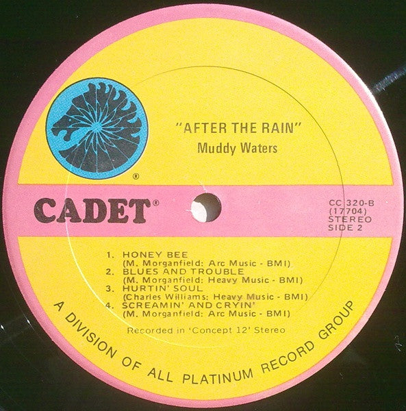 Muddy Waters – After The Rain LP vinyl record, image 4 of 4