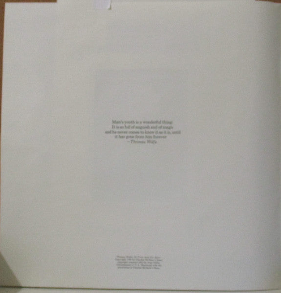 Dan Fogelberg – The Innocent Age (2xLP) LP vinyl record, image 10 of 10