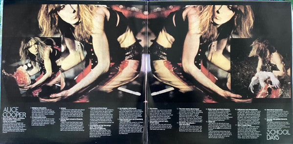 Alice Cooper – School Days - The Early Recordings (2xLP) LP vinyl record, image 3 of 7