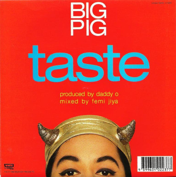 Big Pig – Justifier 7" vinyl record, image 2 of 4