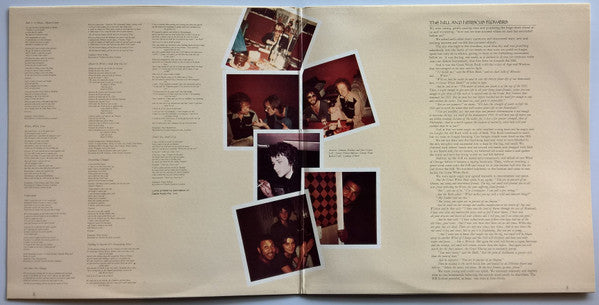 Steve Harley & Cockney Rebel – Timeless Flight LP vinyl record, image 3 of 5