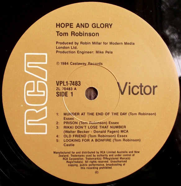 Tom Robinson – Hope And Glory LP vinyl record, image 4 of 4