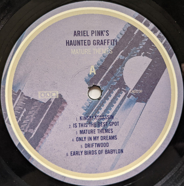 Ariel Pink's Haunted Graffiti – Mature Themes LP vinyl record, image 5 of 10