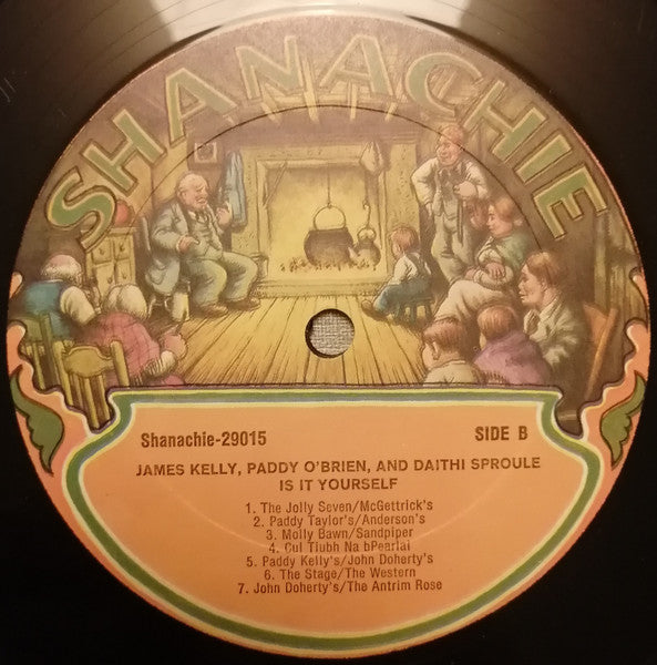 James Kelly, Paddy O'Brien, Dáithí Sproule – Is It Yourself LP vinyl record, image 4 of 8