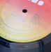 Dave Dobbyn – Loyal LP vinyl record, image 8 of 8