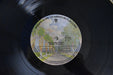 The Doobie Brothers – Toulouse Street LP vinyl record, image 6 of 6