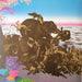Santana – Amigos LP vinyl record, image 5 of 6