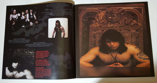 Danzig – The Lost Tracks Of Danzig (2xLP) LP vinyl record, image 8 of 10