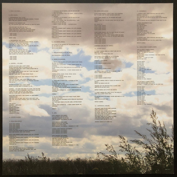 Grandaddy – Just Like The Fambly Cat (2xLP) LP vinyl record, image 4 of 8